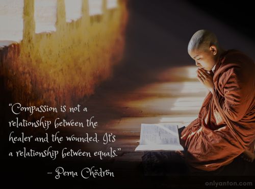 A digitally illustrated quote by Pema Chödrön on compassion, using graphic elements, textures, text, and a stock image. “Monk Praying in Temple” by truthseeker08 from pixabay/Canva.