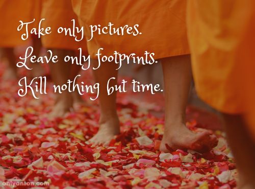 A digitally illustrated quote about treading lightly, using graphic elements, textures, text, and a stock image of Buddhist monks walking. “462358.jpg” by suc from pixabay/Canva.